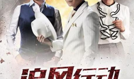追风行动电视剧,风起云涌的正义之战