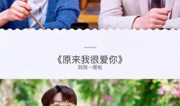 电视剧偶像,梦想与现实的交织