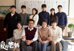 囧爸的爱情生活 电视剧,笑谈人生百态，共谱浪漫篇章
