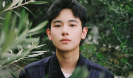 胡先煦电视剧,青春成长路上的璀璨星光