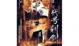 雳剑电视剧演员表,众星云集，演绎烽火岁月