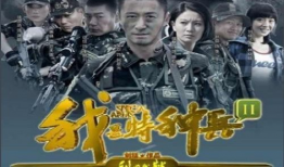 我是特种兵之利刃出鞘电视剧,特种兵的荣耀与挑战