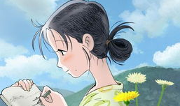 故事动漫,动漫世界的传奇之旅