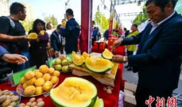 武都吃瓜最新事件爆料,揭秘最新事件背后真相