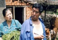 东北题材电视剧,东北风情电视剧中的时代记忆