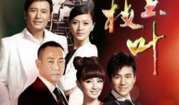 金枝玉叶电视剧演员表,实力派明星齐聚一堂