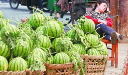 武都吃瓜最新事件爆料,揭秘最新事件背后真相