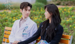 恋人电视剧,浪漫邂逅，情感纠葛，谱写青春爱情传奇