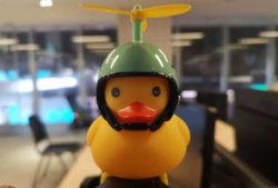 吃瓜爆料小黄鸭视频,吃瓜爆料视频背后的真相