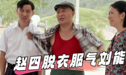 农村爱情电视剧大全,温馨田园，浪漫人生